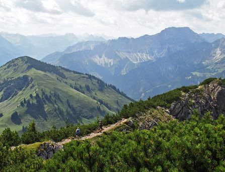 Blick über die Allgäuer Alpen