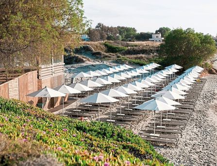 Neptune Luxury Resort