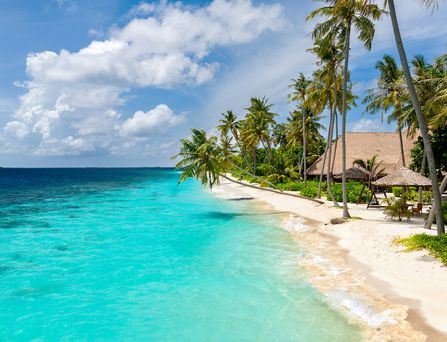 Reethi Faru Resort