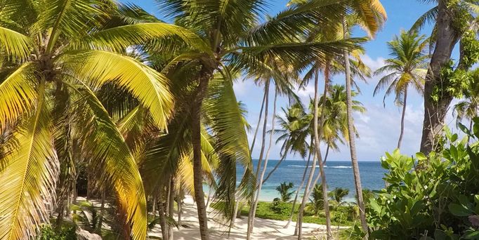 Ein weißer Sandstrand ist geprägt von tropischer Vegetation.