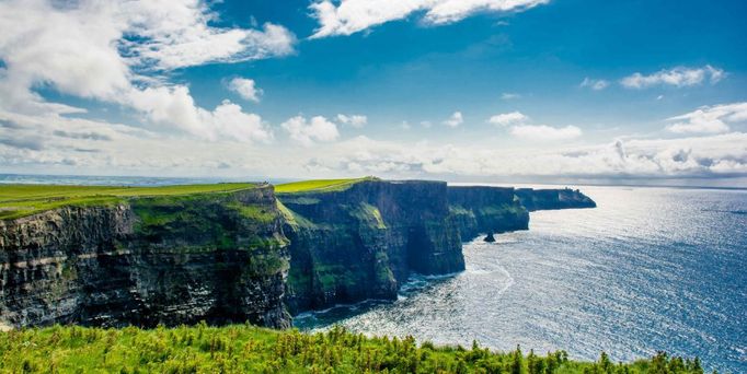 Eine grüne Landschaft mit gelben Blumen und steilen Klippen am Meer.