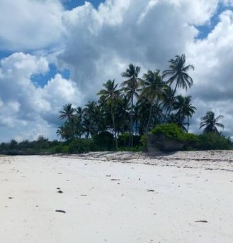 Nest Style Beach Zanzibar