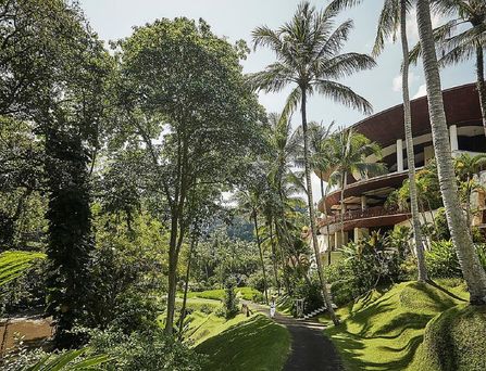 Four Seasons Resort Bali at Sayan