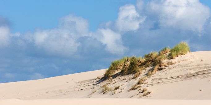 Reisetrends 2026: Ein feinsandiger Strand mit Dünengras