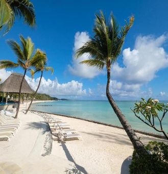 Ambre Mauritius