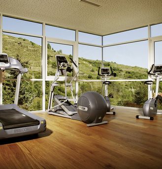 Steigenberger Hotel & Spa Krems