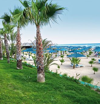 Paloma Oceana