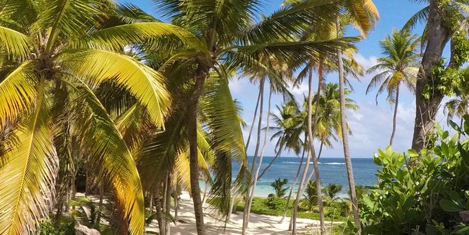 Ein weißer Sandstrand ist geprägt von tropischer Vegetation.