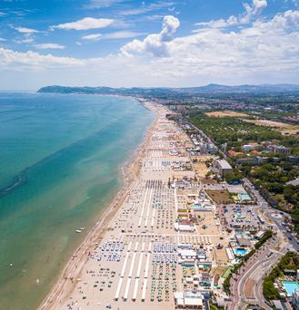 An einem weißen Sandstrand mit türkis-blauem Wasser steht eine krumm gebogene Kokospalme.