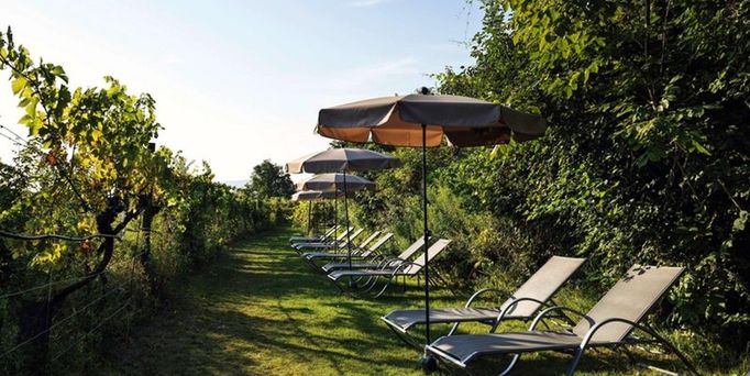 Steigenberger Hotel & Spa Krems