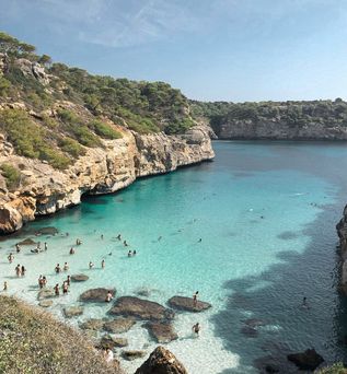 Ein Auschnitt einer wunderschönen, naturbelassenen Bucht mit wenigen Steinen und vor allem klarem, türkisem Wasser umrahmt von pinienbestückten Klippen