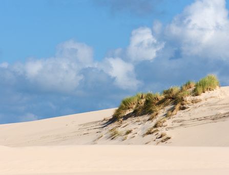 Eine feinsandige Düne mit ein bisschen grünem Gestrüpp unter blauem Himmel, welcher mit ein paar Wolken betupft ist.