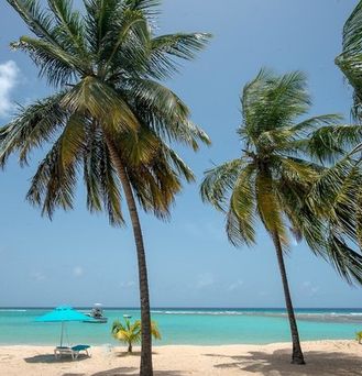 The Sands Barbados
