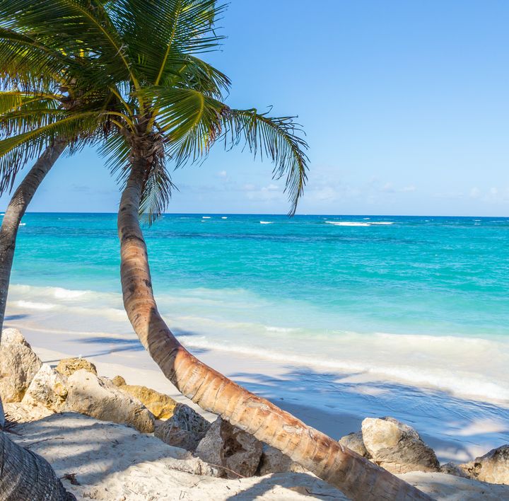 An einem weißen Sandstrand mit türkis-blauem Wasser steht eine krumm gebogene Kokospalme.