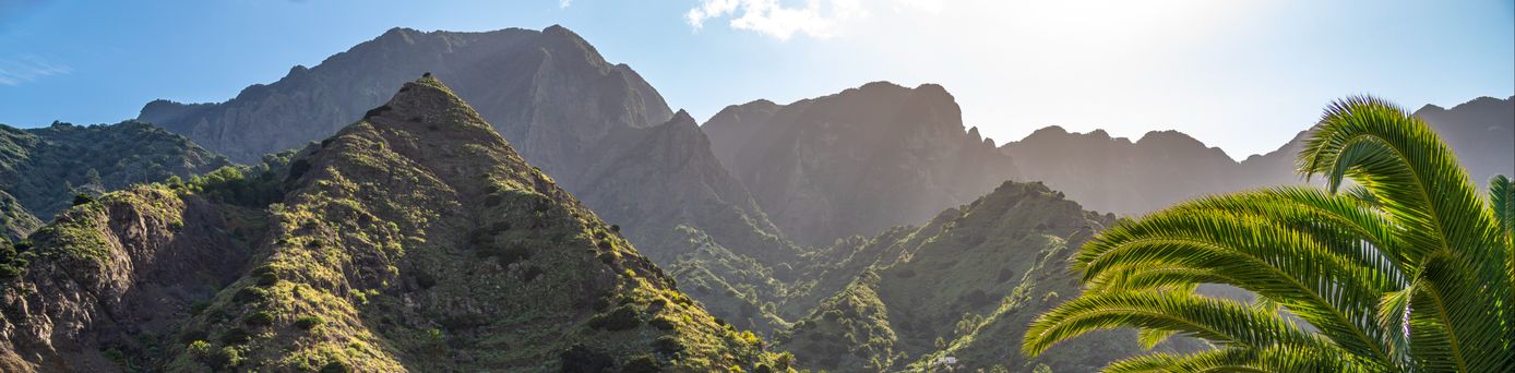 Eine grüne Berglandschaft und auf einem begrünten Feld steht ein hübsches Haus, im Vordergrund eine Palme..