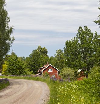 Eine Landstraße führt durch eine grüne, blumige Landschaft. Am Straßenrand steht ein typisches, rotes Schwedenhaus.