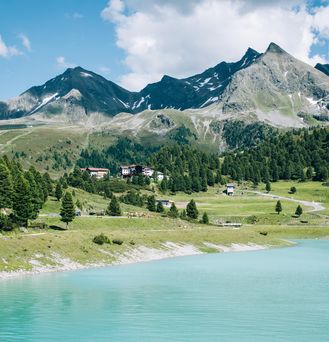Reisetrends 2026: Eine grüne Berglandschaft am türkisen See