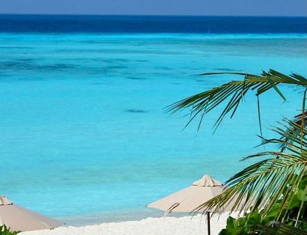 The Barefoot Eco Hotel