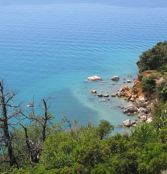 Blick von einem Felsen auf eine begrünte Bucht mit Steinen und hellblaues, türkises Wasser.