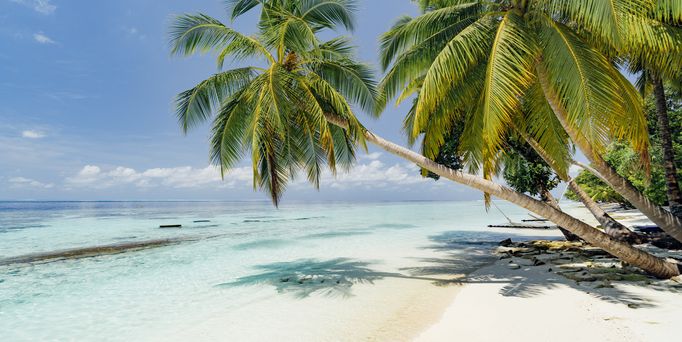Ein karibischer weißer Sandstrand mit Palmen und türkisem Wasser. Auf einer hellblauen Fläche stehen zwei PAYBACK Pointees die sich küssen. Auf der Fläche steht "Weil's mehr Punkte bringt". 